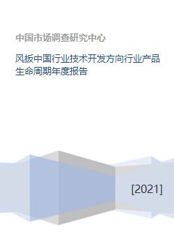 風(fēng)扳中國行業(yè)技術(shù)開發(fā)方向與產(chǎn)品生命周期年度報告